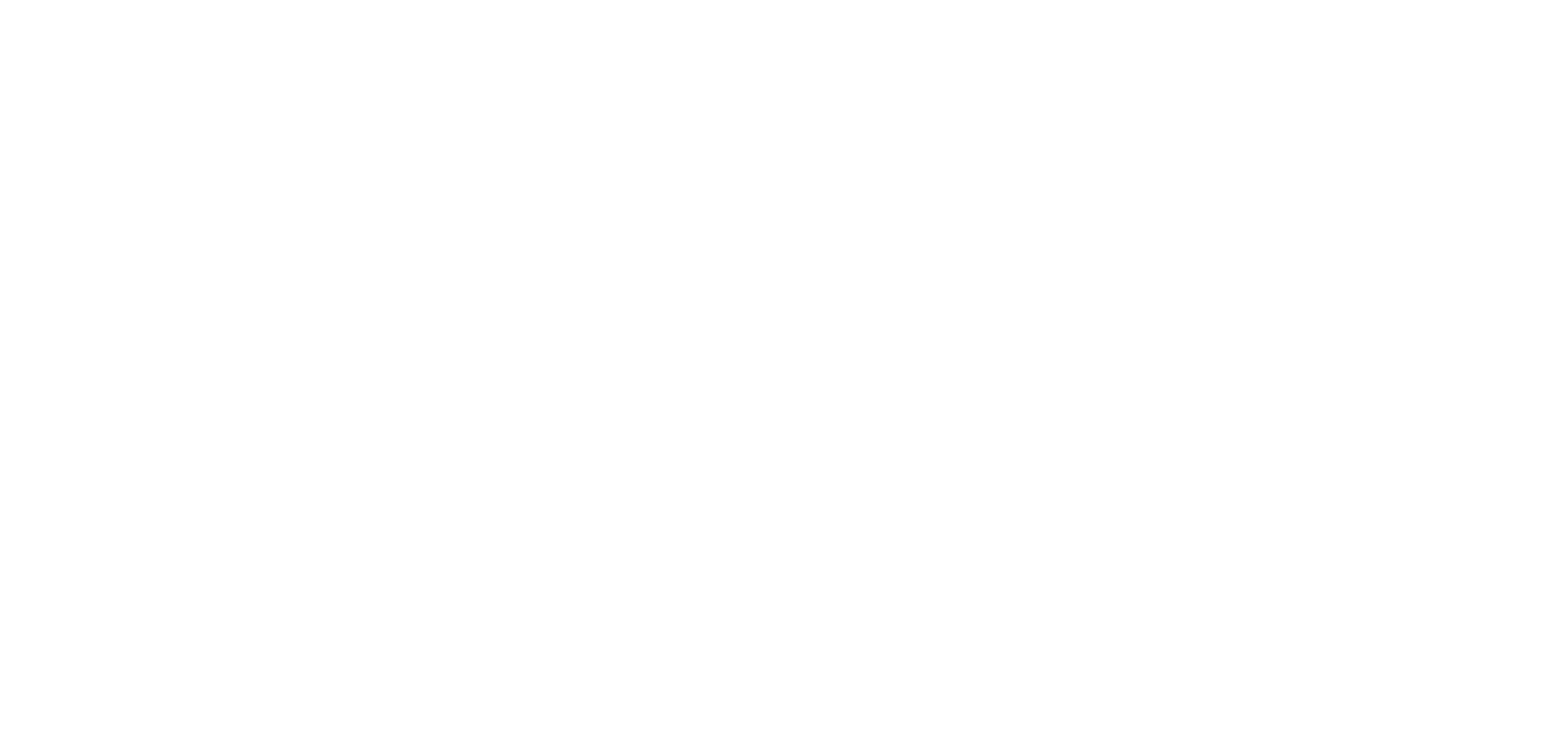 Räddningstjänsten